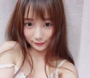 掌上版本查询
